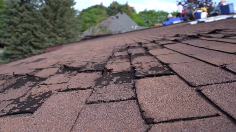 Best Rubber Roofing (EPDM, TPO)  in Prairie Grove, IL